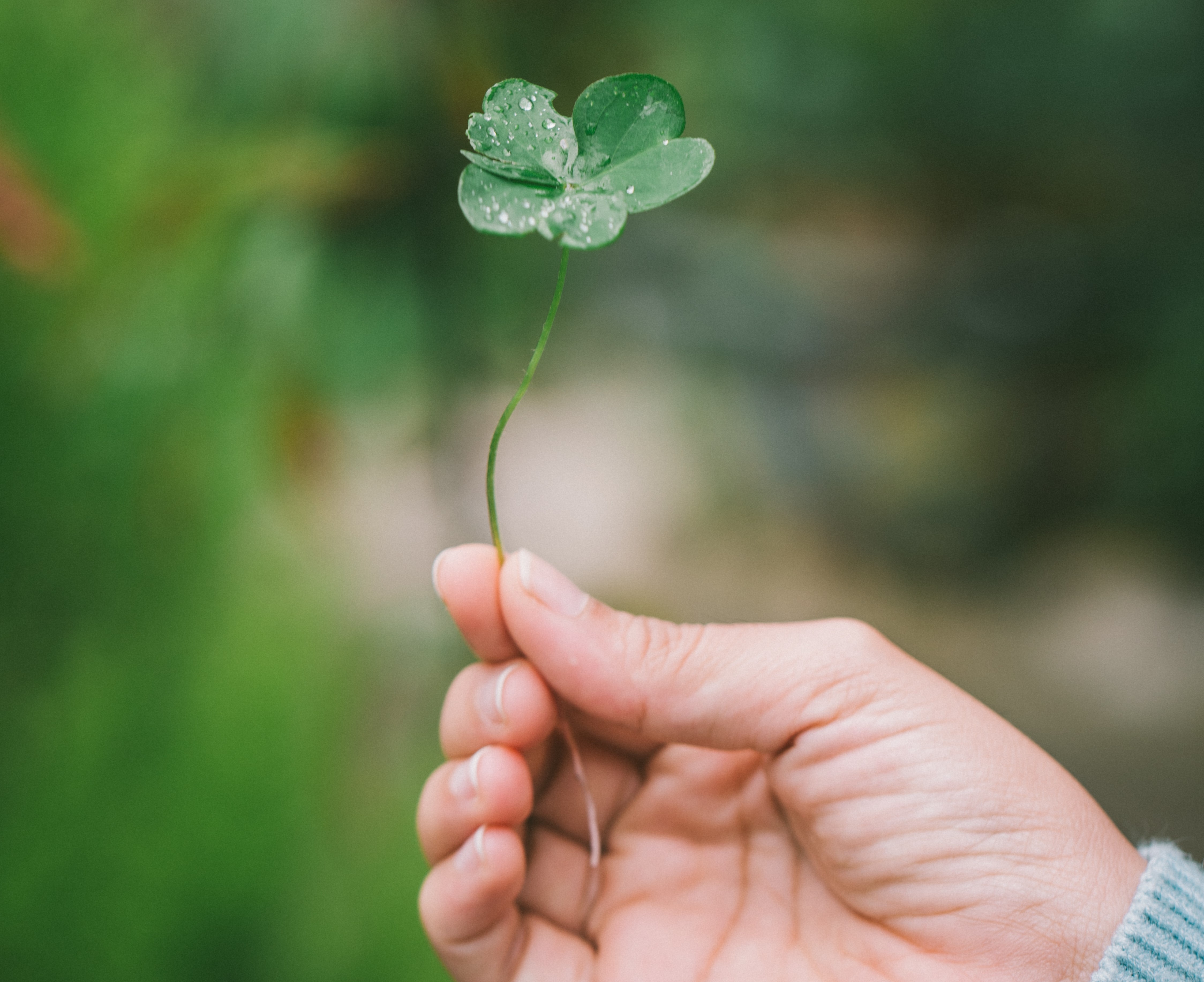 A hand holding leaf symbolises greener future